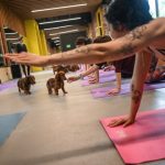 Italy-bans-popular-puppy-yoga-sporting-hype-proves-harmful-to.jpg